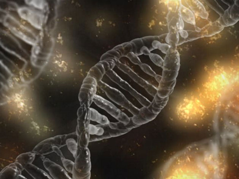 ΓΟΝΙΔΙΩΜΑΤΙΚΗΣ