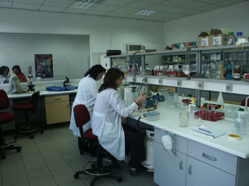 MICROBIOLOGICAL ANALYSIS OF FOOD PRODUCTS