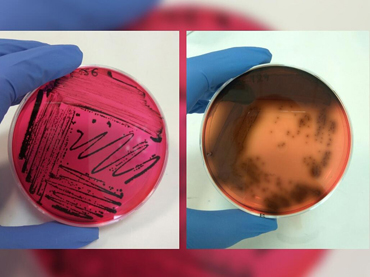 ΠΟΙΟΤΗΤΑΣ & ΑΣΦΑΛΕΙΑΣ ΤΡΟΦΙΜΩΝ