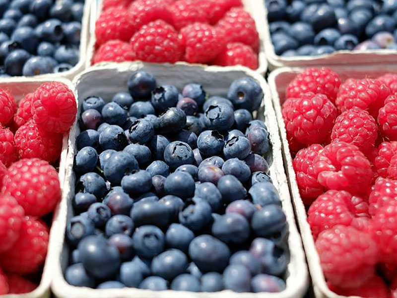 ΣΥΝΤΗΡΗΣΗΣ ΝΩΠΩΝ ΠΡΟΪΟΝΤΩΝ