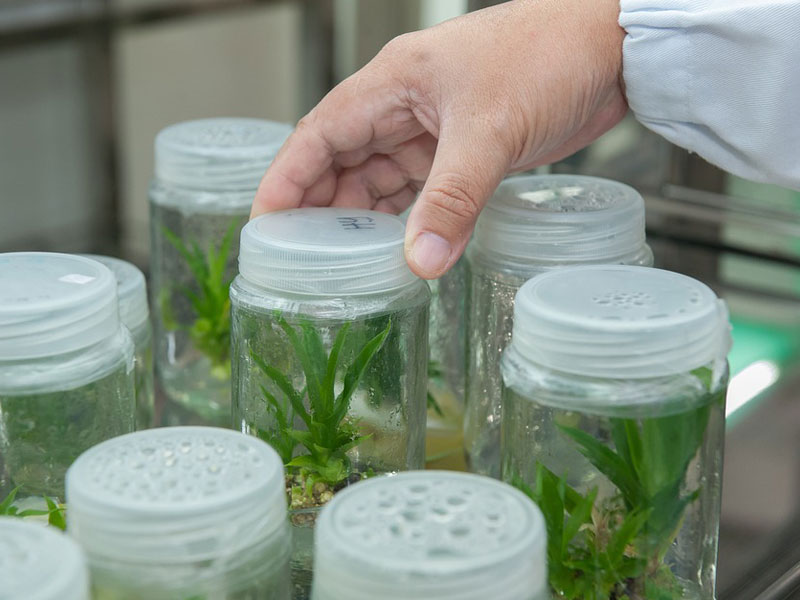 ΒΙΟΤΕΧΝΟΛΟΓΙΑΣ ΑΓΡΟΤΙΚΩΝ ΠΡΟΪΟΝΤΩΝ & ΑΞΙΟΠΟΙΗΣΗΣ ΥΠΟΠΡΟΪΟΝΤΩΝ