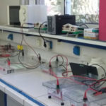 ΜΟΡΙΑΚΕΣ ΑΝΑΛΥΣΕΙΣ ΤΡΟΦΙΜΩΝ