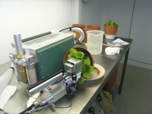 plants in lab